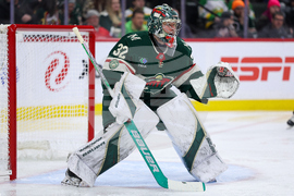 Red Wings Wild Hockey