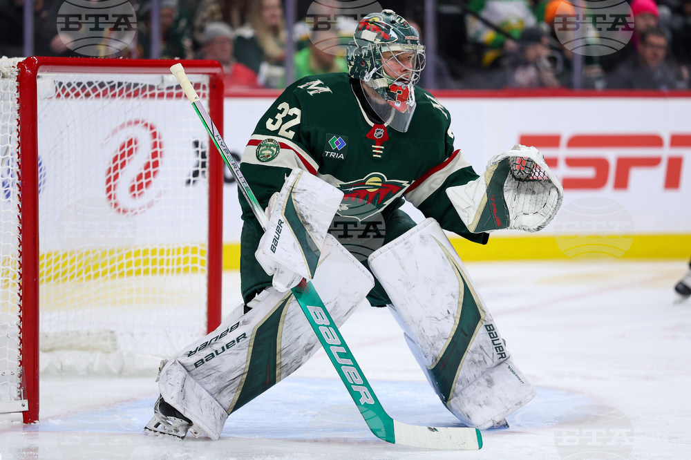 Red Wings Wild Hockey