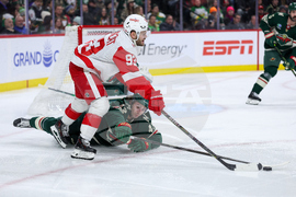Red Wings Wild Hockey
