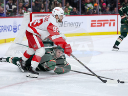 Red Wings Wild Hockey