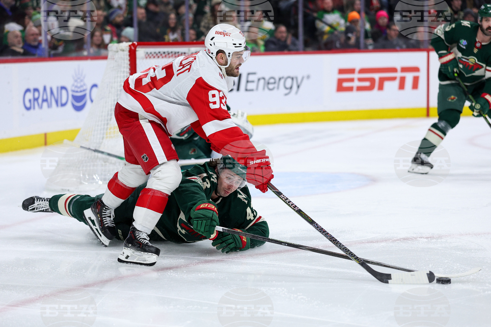 Red Wings Wild Hockey