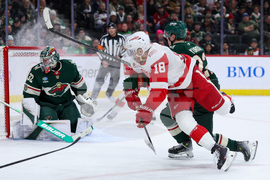 Red Wings Wild Hockey