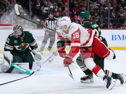 Red Wings Wild Hockey