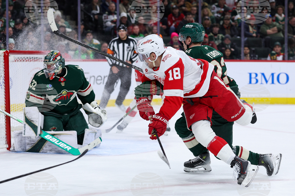 Red Wings Wild Hockey