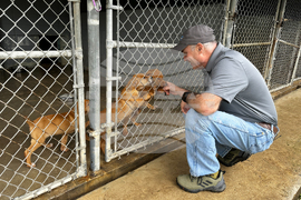Winter Weather Dog Rescue