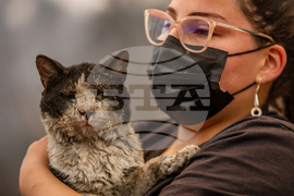 Pictures of the Week Latin America and Caribbean Photo Gallery