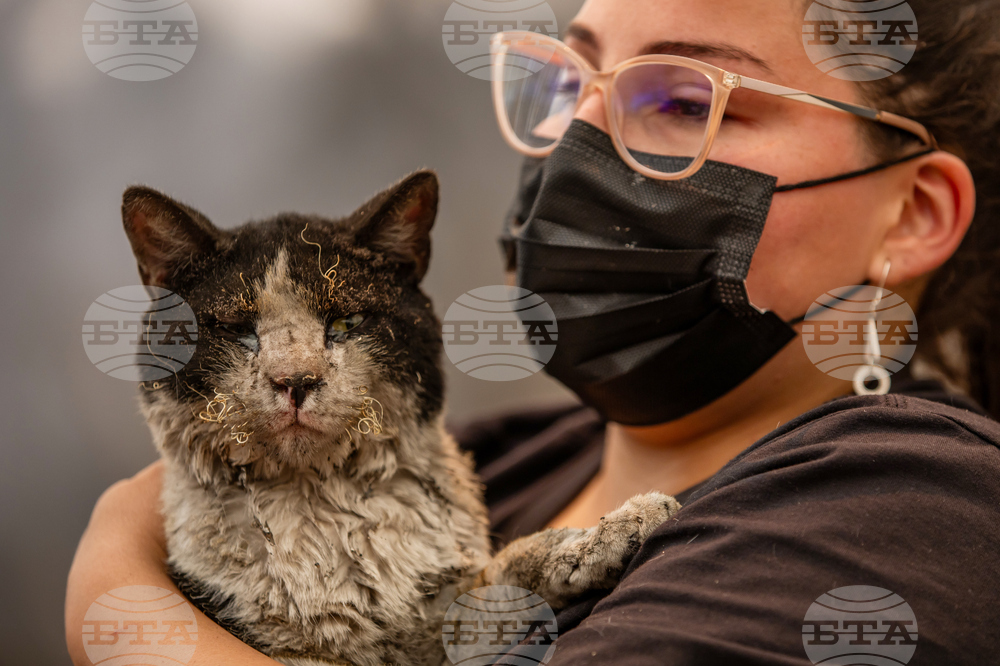 Pictures of the Week Latin America and Caribbean Photo Gallery