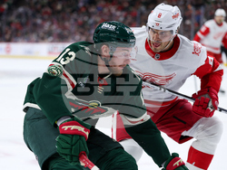 Red Wings Wild Hockey
