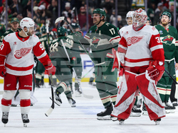Red Wings Wild Hockey