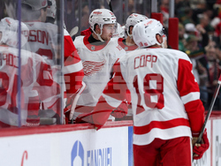 Red Wings Wild Hockey