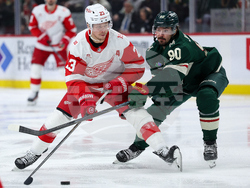 Red Wings Wild Hockey