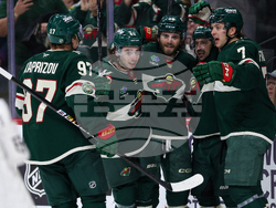 Red Wings Wild Hockey