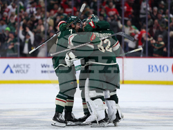 Red Wings Wild Hockey