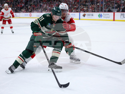 Red Wings Wild Hockey