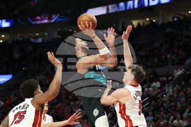 Heat Trail Blazers Basketball