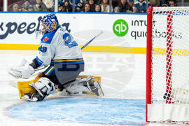 Sceptres Goldeneyes Hockey