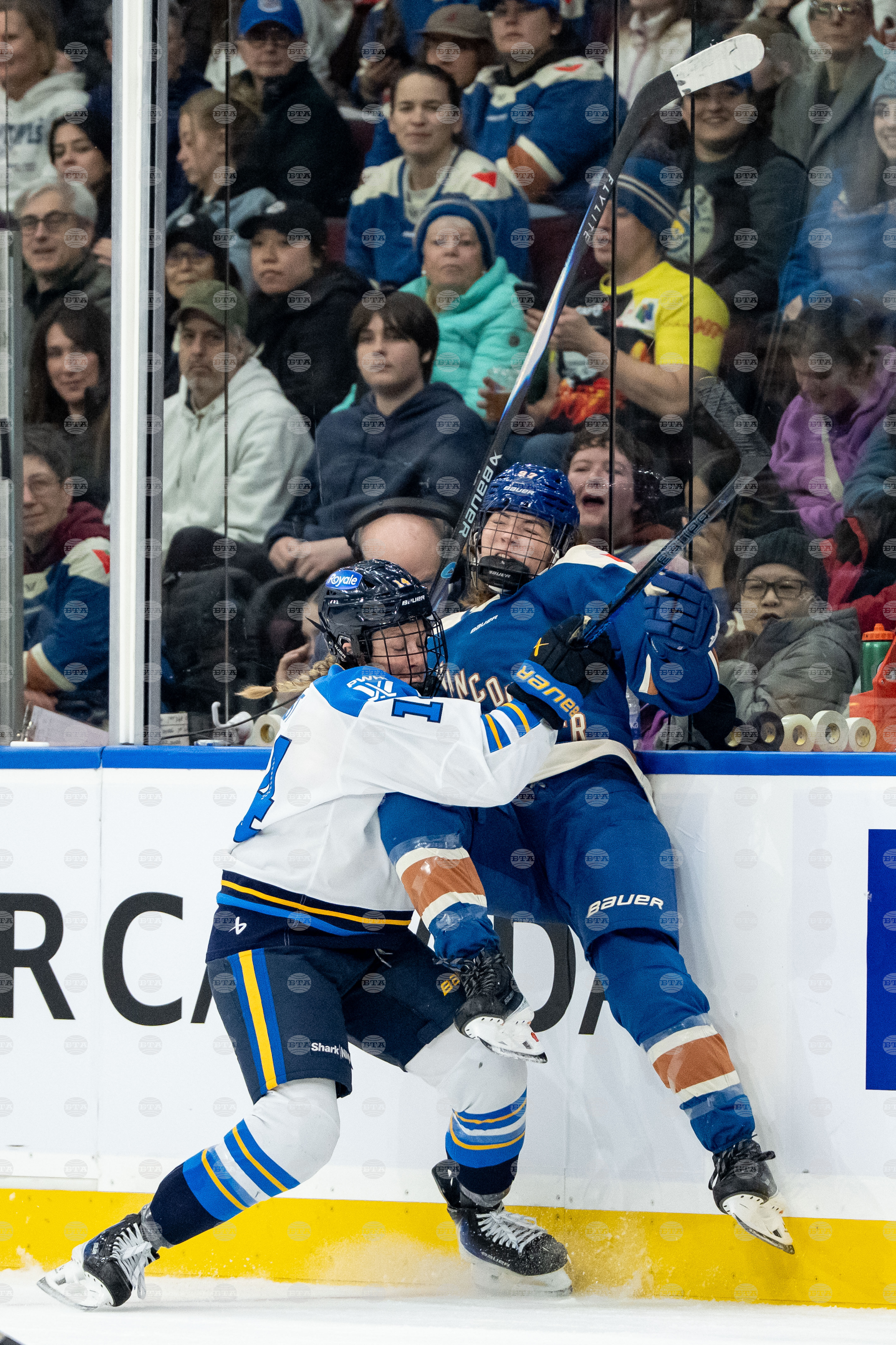 Sceptres Goldeneyes Hockey