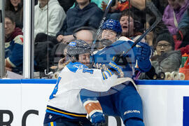 Sceptres Goldeneyes Hockey