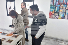 Добрич - техника преге - представяне