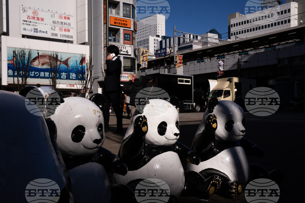 Japan China Panda