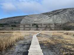 Снимка: Българско дружество за защита на птиците