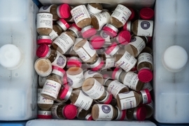 Malawi Cholera Vaccines