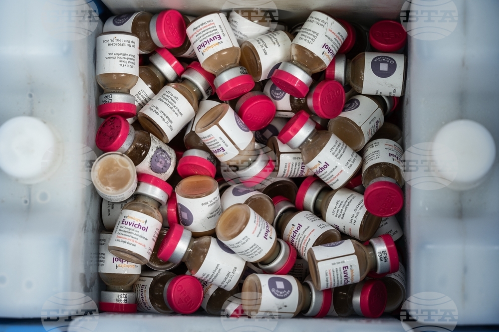 Malawi Cholera Vaccines