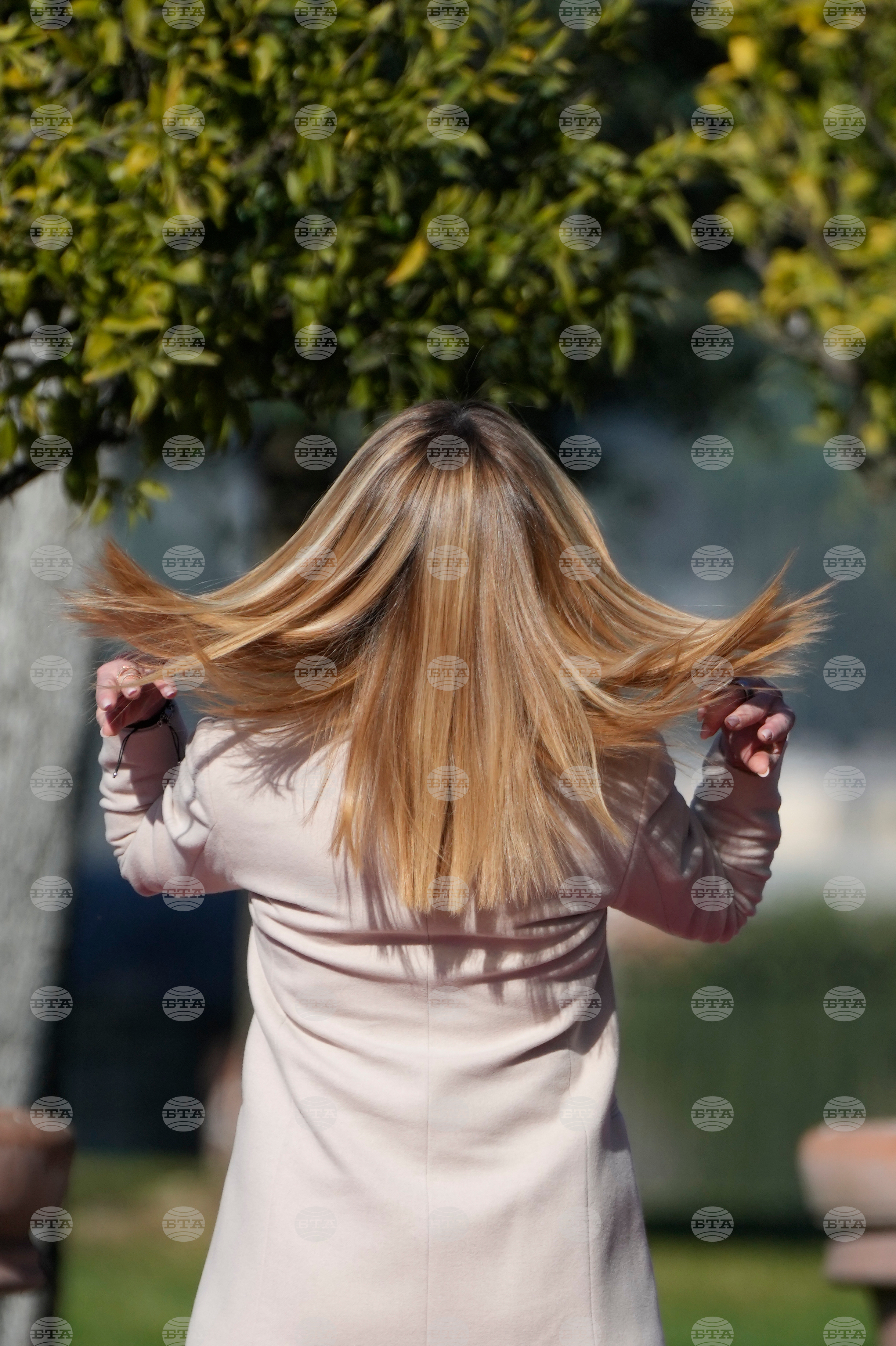 Italy Germany Politics