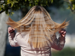 Italy Germany Politics