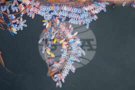 APTOPIX India Spring Festival