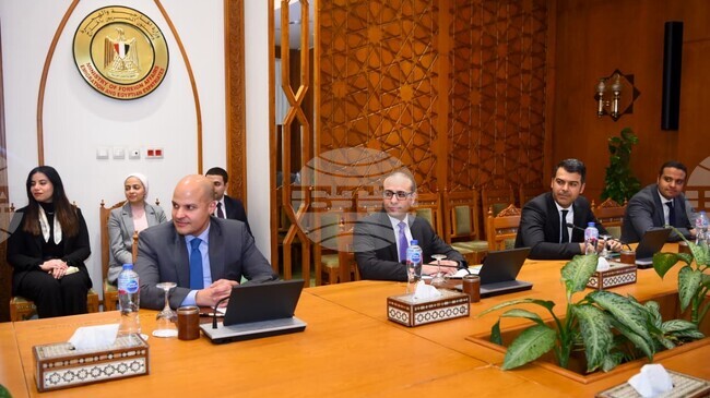 МЕНА: Египетският външен министър заяви, че Египет поставя Африка в центъра на външната си политика