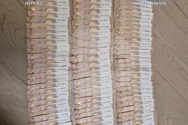 Румъния - Вълча - Дирекция за разследване на организираната престъпност и тероризма - акция