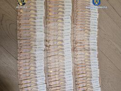 Румъния - Вълча - Дирекция за разследване на организираната престъпност и тероризма - акция