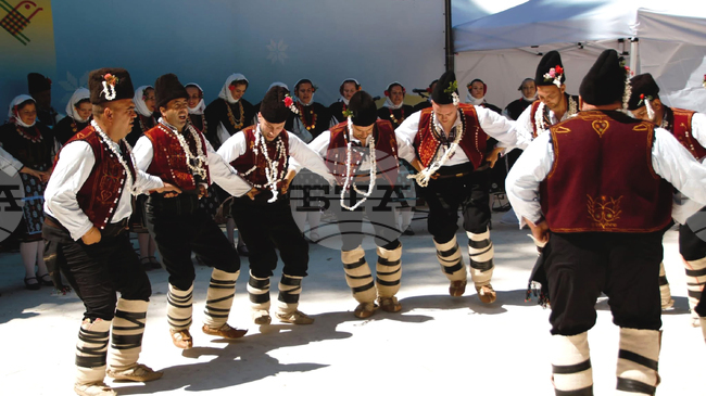 Еркечки зельник и обичаят „Силиврия“ в двора на Етнографския музей