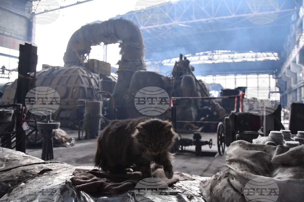 Russia Ukraine War Power Plants