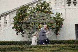 Italy Germany Politics