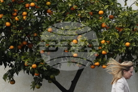 Italy Germany Politics