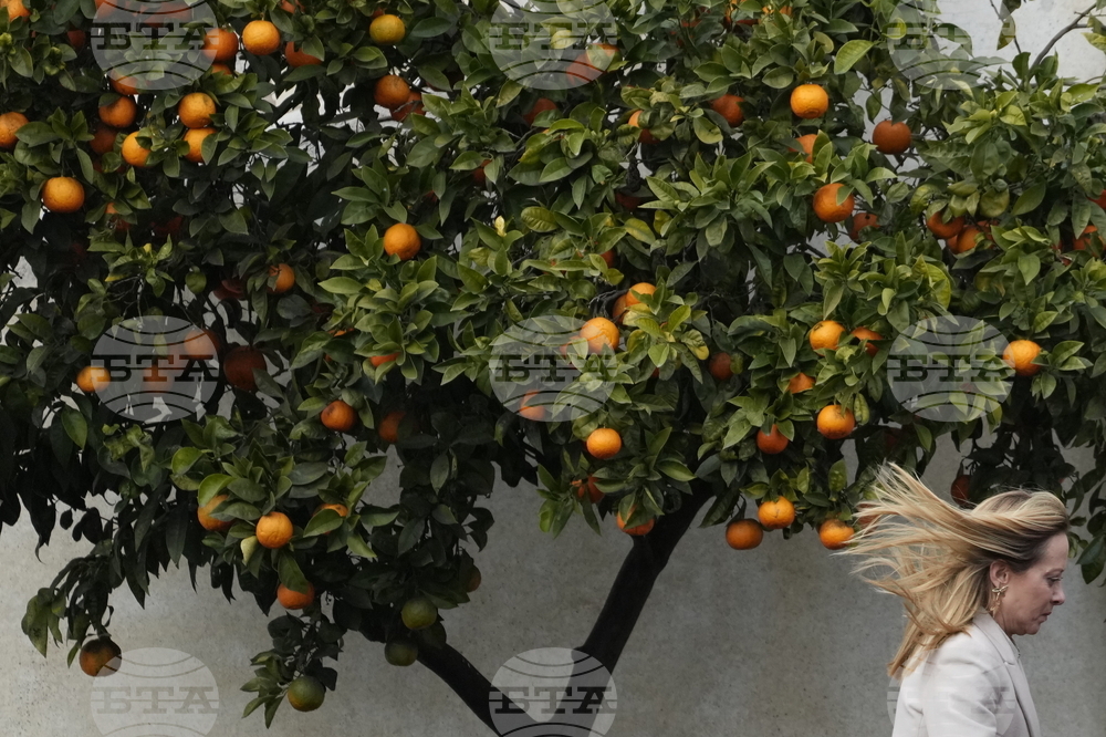 Italy Germany Politics