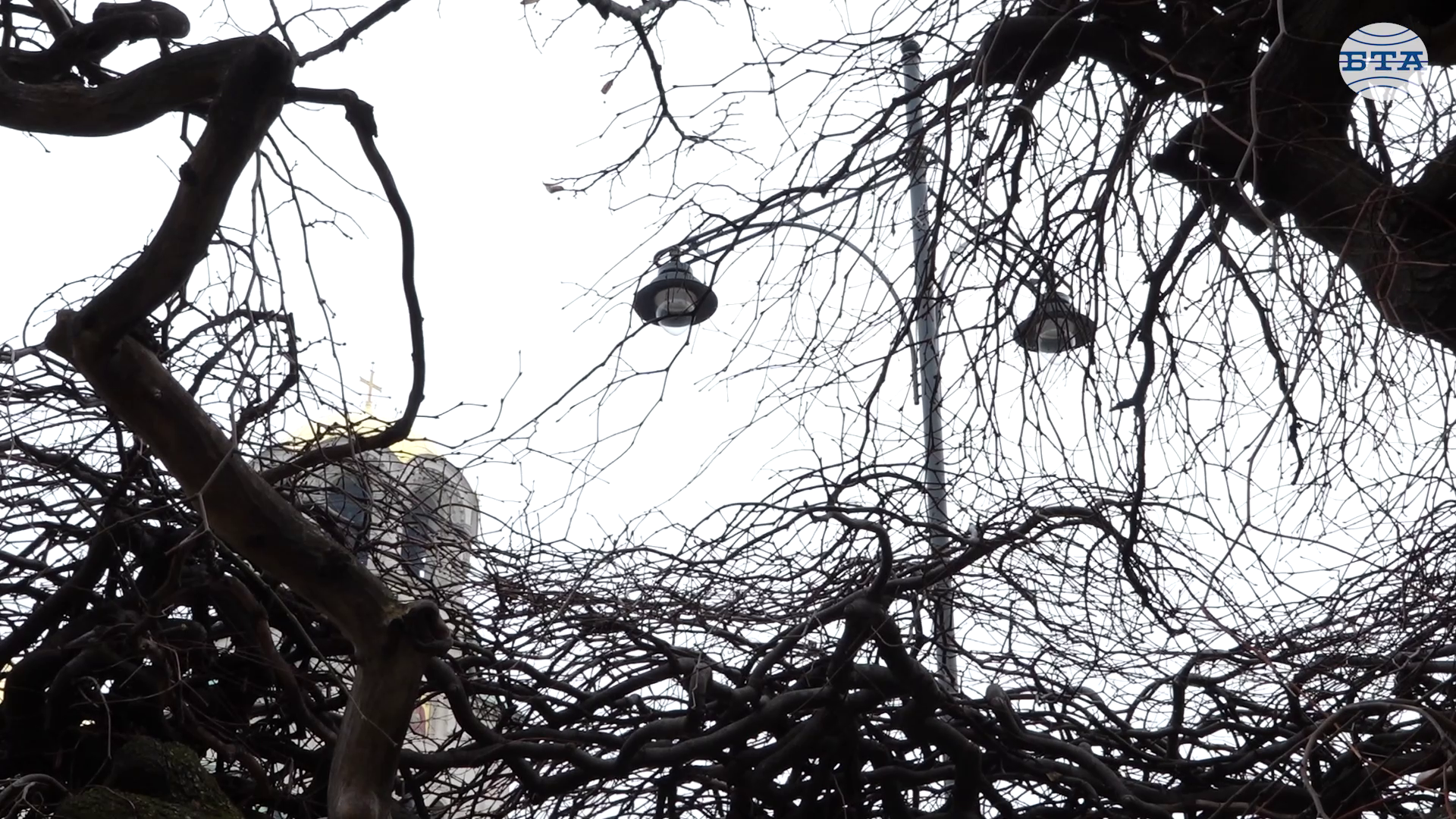 Близо 10 000 осветителни тела са подменени в 14 района на София по проект, финансиран по Плана за възстановяване