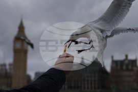 APTOPIX Britain Daily Life