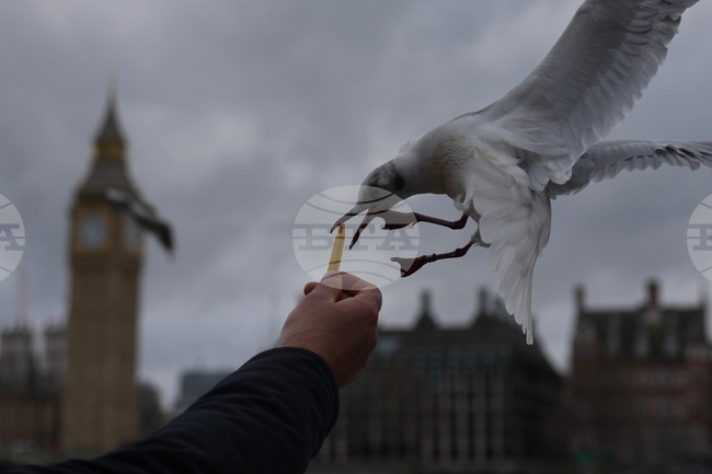 APTOPIX Britain Daily Life