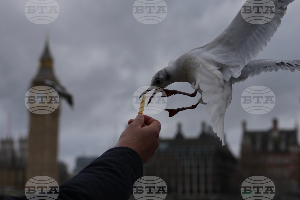 APTOPIX Britain Daily Life