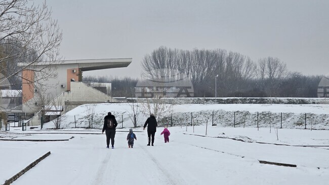 Отчет за младежките дейности през 2025 г. в община Козлодуй и план за работа през настоящата приеха общинските съветници