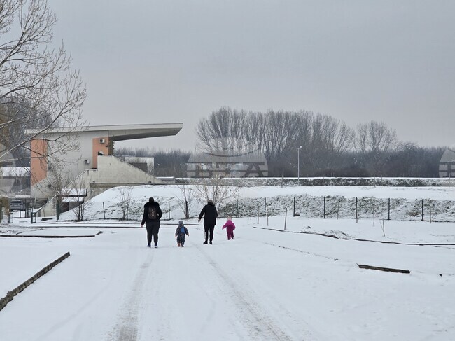 Отчет за младежките дейности през 2025 г. в община Козлодуй и план за работа през настоящата приеха общинските съветници