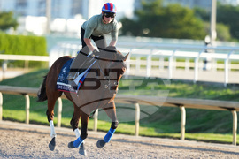 Pegasus World Cup Horse Racing