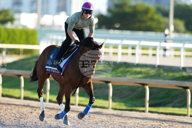 Pegasus World Cup Horse Racing