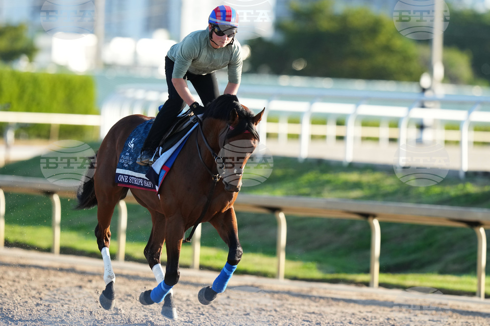 Pegasus World Cup Horse Racing