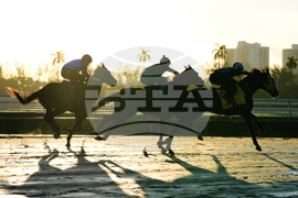 Pegasus World Cup Horse Racing