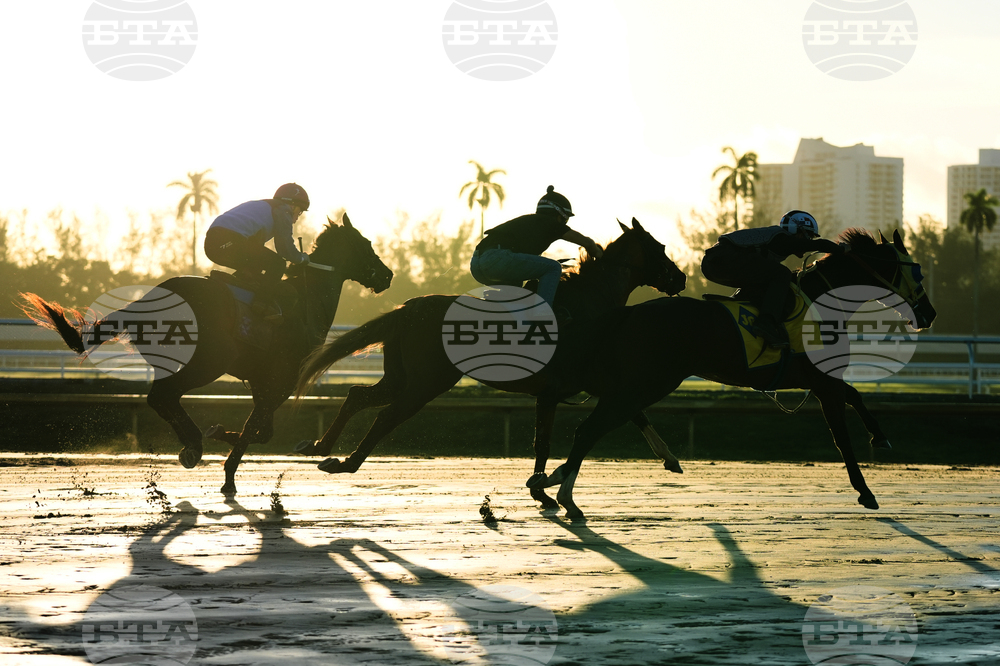 Pegasus World Cup Horse Racing