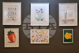 Варна - изложба „Багрите на Родопа планина“